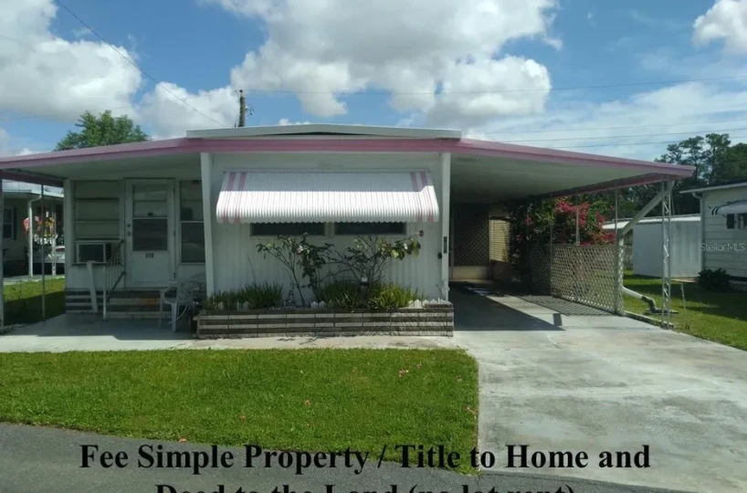 d5384eedb0ca2561afa7342e5b1fe7cdl-m2762739277rd-w960_h720